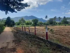 දඹුල්ල නගරසභා සීමාවෙන් සින්නක්කර බිම්කොටස් විකිණීමට