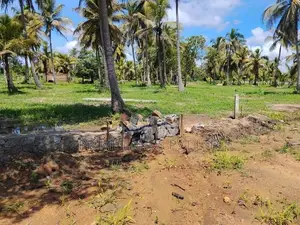 අනුරාධපුර බිම්කොටස් නාච්චාදූව පාරෙන්