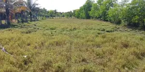 Land for Sale Trincomalee Road Karuvakkerney Valaichenai