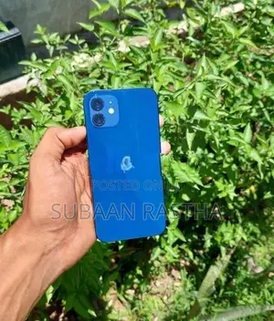 Apple iPhone 12 (Used)