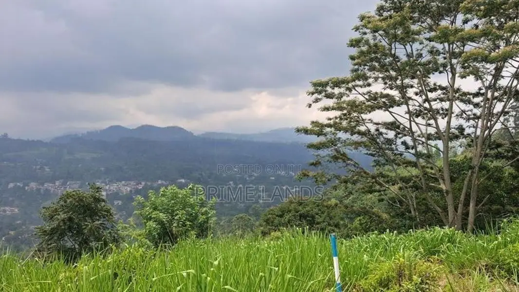 Land for sale in Pussellawa