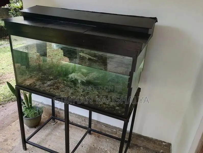 3FT Complete Aquarium Set
