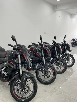 Bajaj Pulsar NS200 Brand New 2026