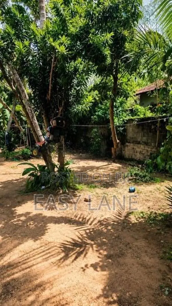 වේයන්ගොඩ බිම්කොටසක්