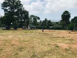 නුවර පාරට මුහුණලා සින්නක්කර බිම්කොටස් විකිණීමට