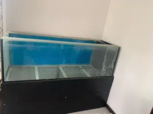 Fish Tank