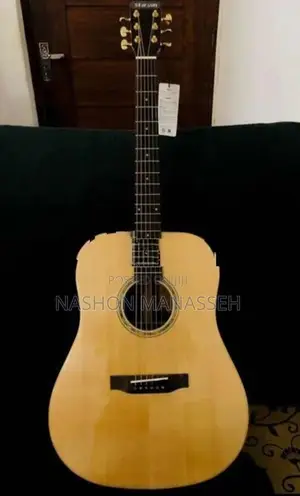 Starsun Semi Accoustic Guitar