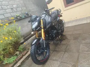 Hero Hunk 160R 2025