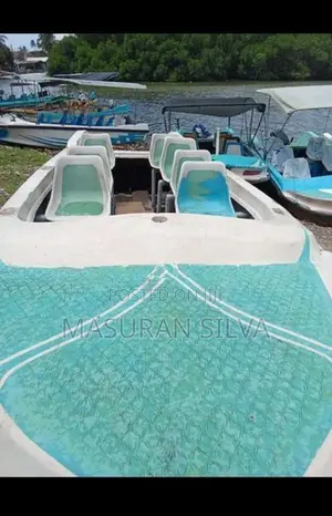 Tourist Boat