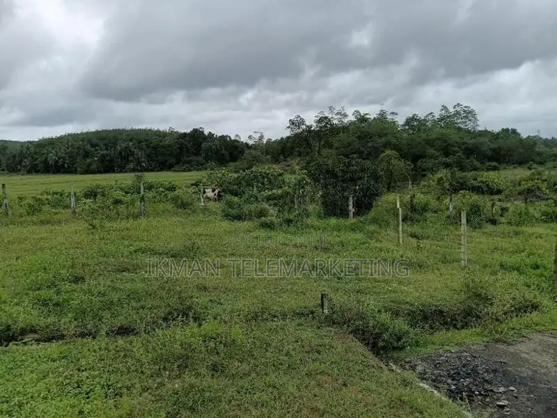 Land for Sale in Horana