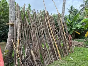 Satalin Mukku