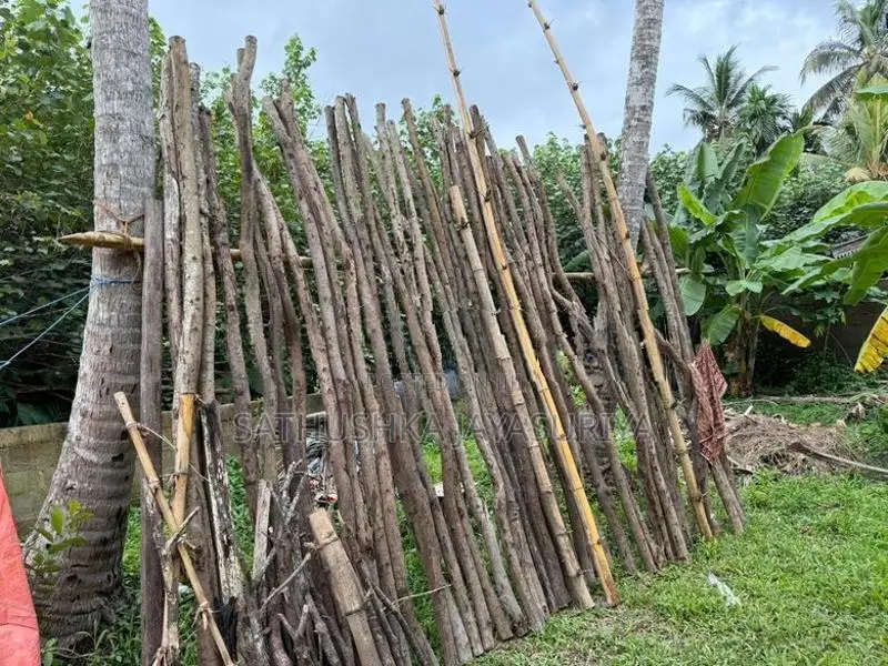 Satalin Mukku