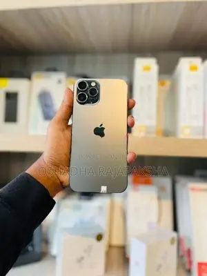 Apple iPhone 12 Pro Max 256GB (Used)