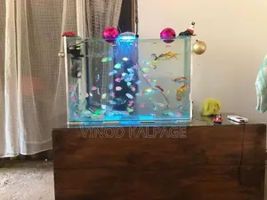 Fish Tank