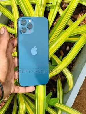 Apple iPhone 12 Pro Max 256GB (Used)