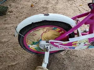 NGE Bike