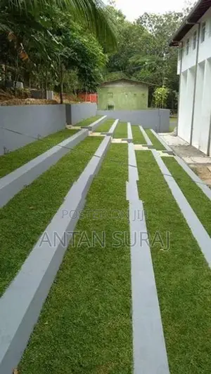 Green Grass