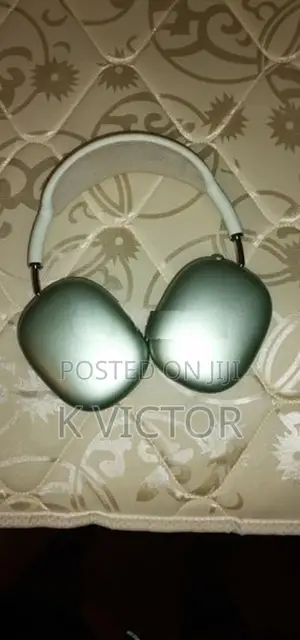 Apple Headphones