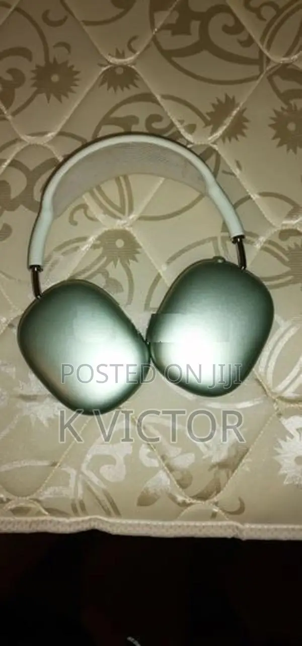 Apple Headphones