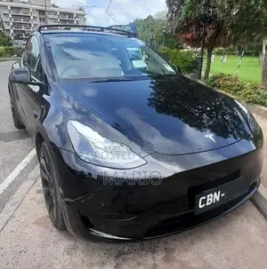 Tesla Model Y 2024