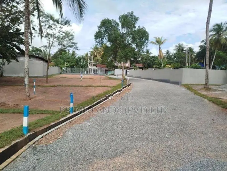 හෝමාගම බිම් කොටස් විකිණීමට