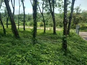 හෝමාගම තලගල බිම් කොටස් විකිණීමට