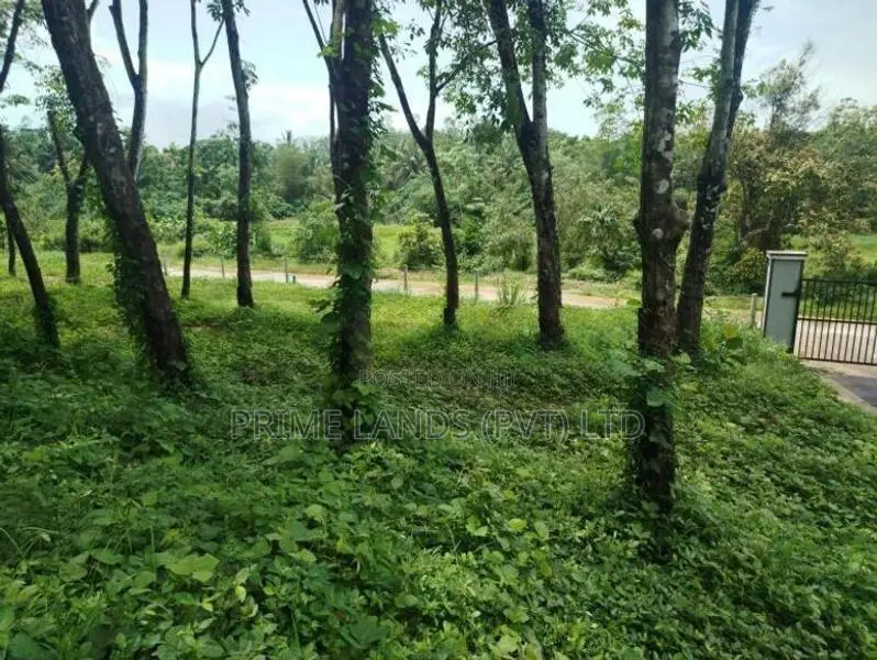 හෝමාගම තලගල බිම් කොටස් විකිණීමට