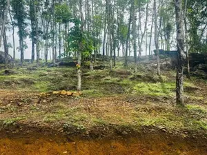 බැල්ලපිටිය වල්පිට පාරෙන් වටිනා බිම්කොටස්