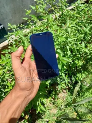 Apple iPhone 12 (Used)
