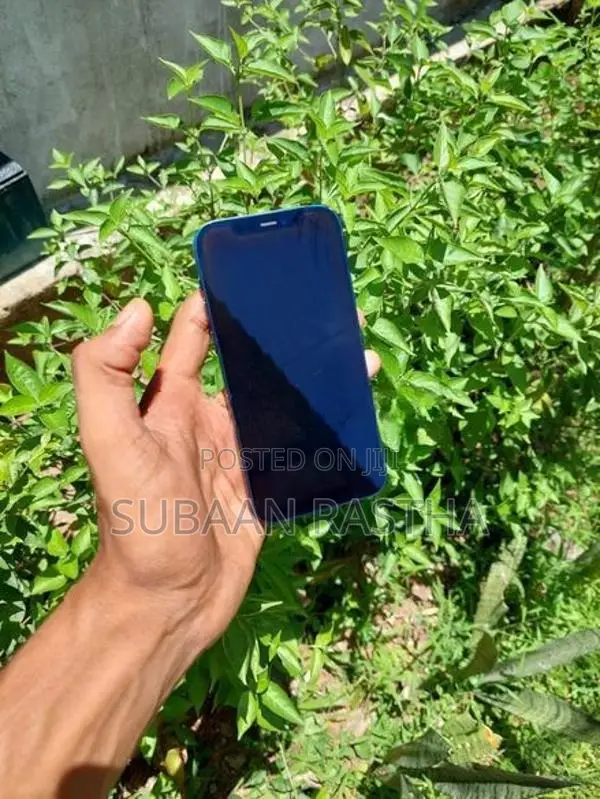 Apple iPhone 12 (Used)