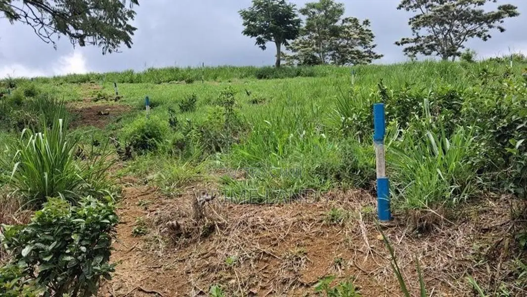 Land for sale in Pussellawa