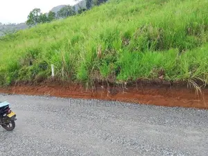 Land For Sale In Kandy Nillabe