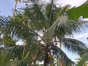 Land with House Sale in Godigamuwa
