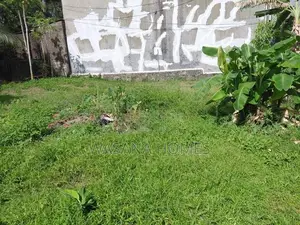 Valuable Land for Sale Boralesgamuwa