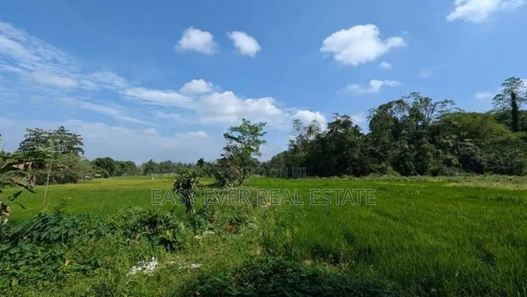 kosgama වෙල්යායකට මුහුණලා සුපිරි ඉඩමක් විකිණීමට