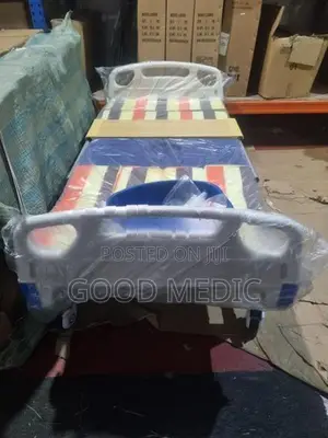 Four Function Manual Beds with Sanitory