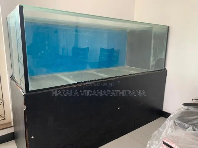 Fish Tank