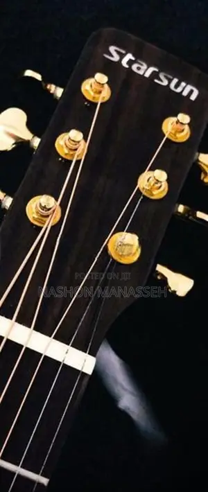 Starsun Semi Accoustic Guitar