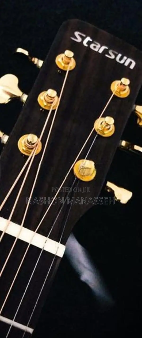 Starsun Semi Accoustic Guitar