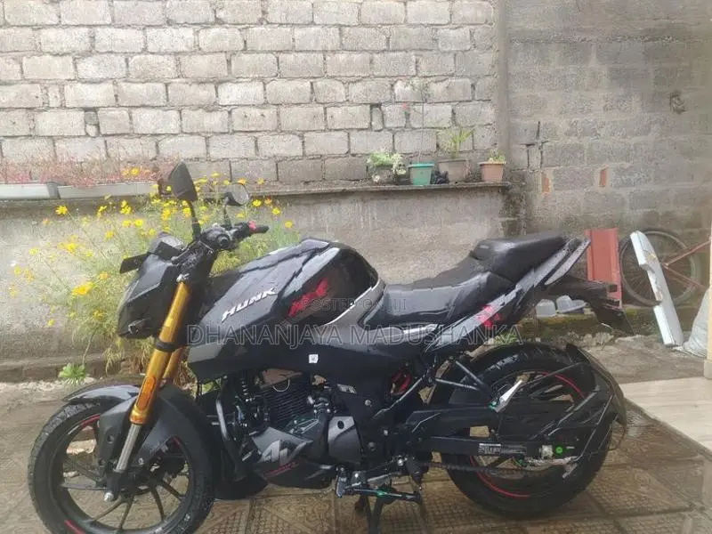 Hero Hunk 160R 2025