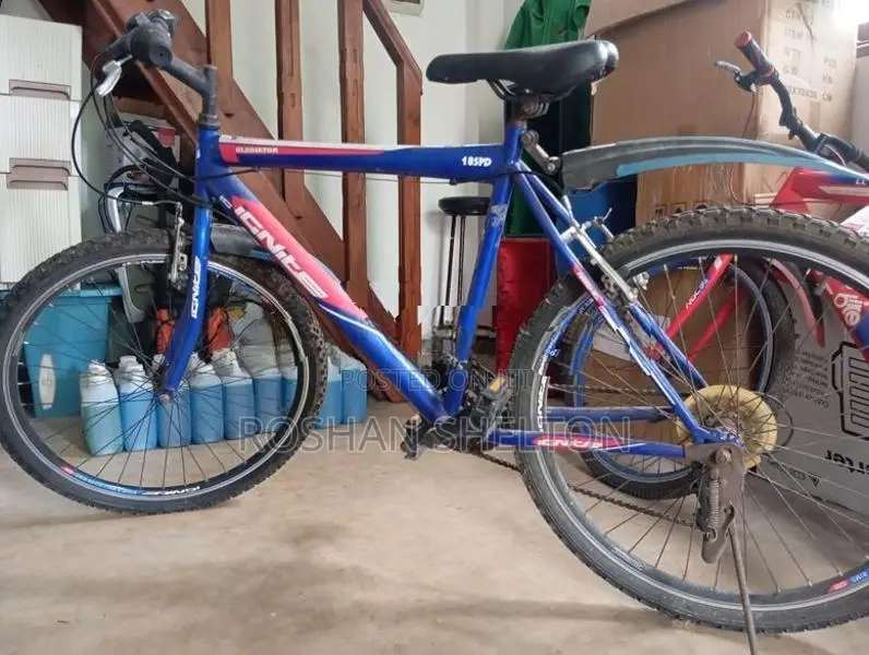 Gear Bicycle