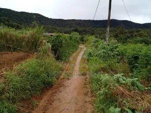 Nuwaraeliya - Beautiful Location 17 Perches Land For Sale