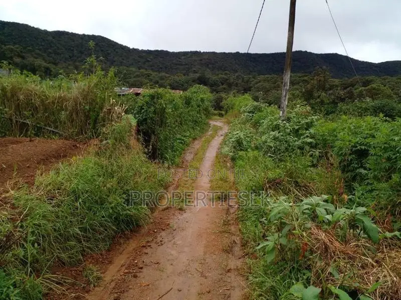 Nuwaraeliya - Beautiful Location 17 Perches Land For Sale
