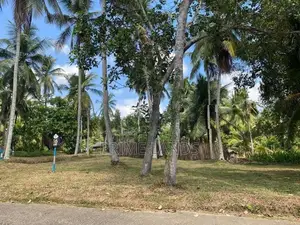 මීගමුව මීරිගම පාරෙන් වටිනා ඉඩමක්