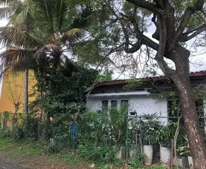 Commercial Property for Rent in Nugegoda ( File No 45 C)