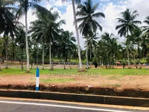 හොරන බිම්කොටස්