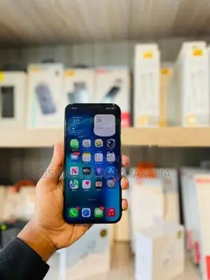 Apple iPhone 12 Pro Max 256GB (Used)