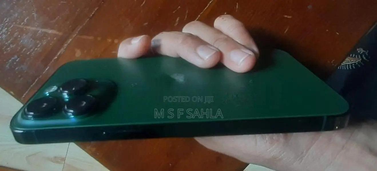 Apple iPhone 13 Pro (Used)