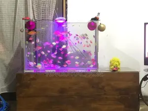 Fish Tank