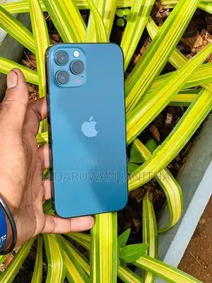 Apple iPhone 12 Pro Max 256GB (Used)